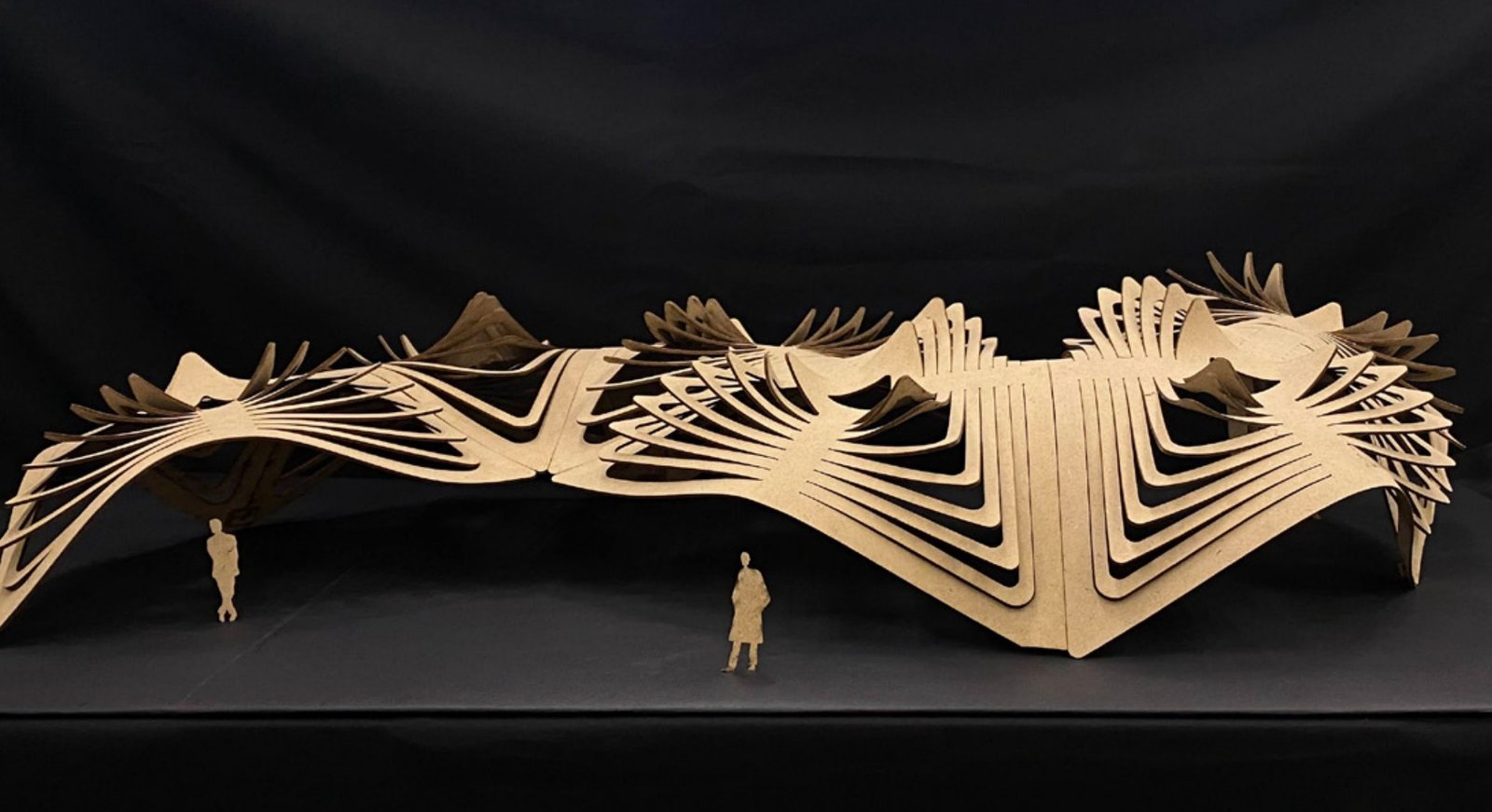 H2wood double-curved MDF model
